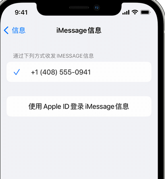 垦利apple维修iPhone上无法正常发送iMessage信息 