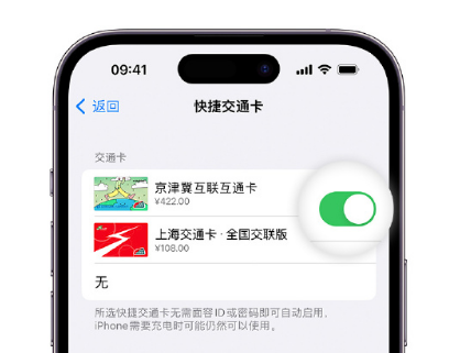 垦利apple维修点分享iPhone上更换Apple Pay快捷交通卡手绘卡面 