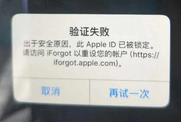 垦利iPhone维修分享iPhone上正常登录或使用AppleID怎么办 