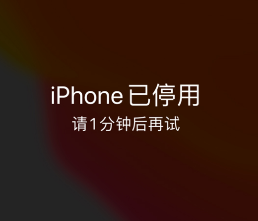 垦利苹果手机维修分享:iPhone 显示“不可用”或“已停用”怎么办？还能保留数据吗？ 