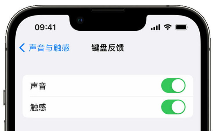 垦利苹果手机维修分享iPhone 14触感键盘使用方法 