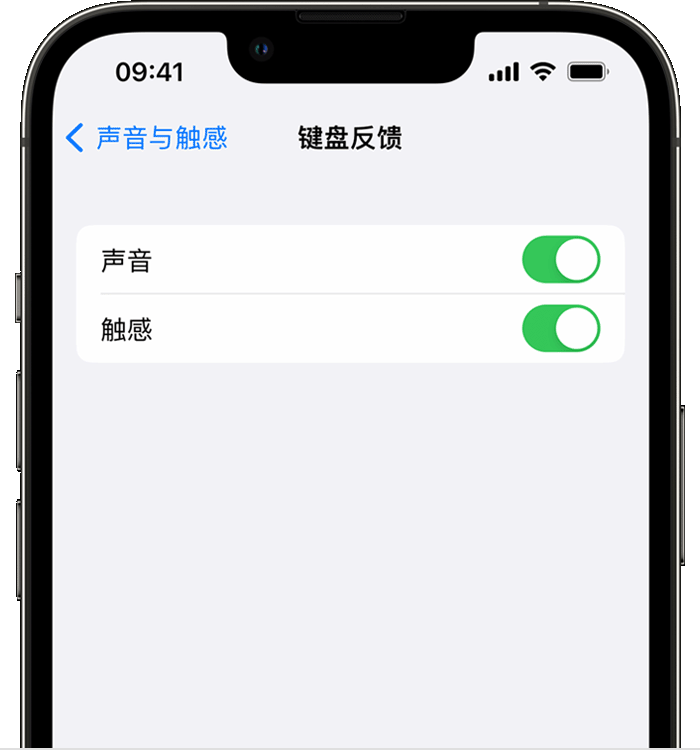 垦利苹果14维修店分享如何在 iPhone 14 机型中使用触感键盘 