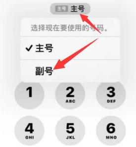 垦利苹果14维修店分享iPhone 14 Pro Max使用副卡打电话的方法 