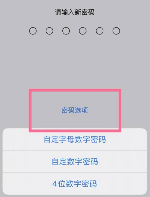 垦利苹果14维修分享iPhone 14plus设置密码的方法 