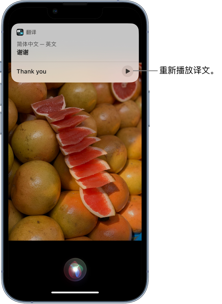 垦利苹果14维修分享 iPhone 14 机型中使用 Siri：了解 Siri 能帮你做什么 