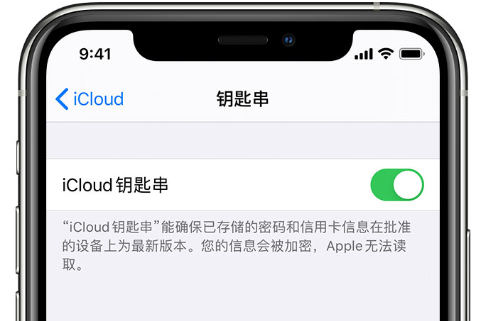 垦利苹果手机维修分享在 iPhone 上开启 iCloud 钥匙串之后会储存哪些信息 