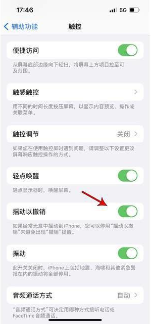 垦利苹果手机维修分享iPhone手机如何设置摇一摇删除文字 